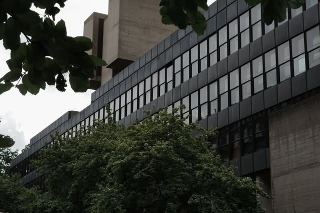 Office block, leaves, street photograph, london